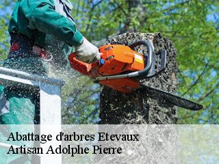 Abattage d'arbres  etevaux-21270 Artisan Adolphe Pierre