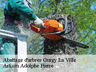 Abattage d'arbres  gurgy-la-ville-21290 ADEL Moise Élagueur