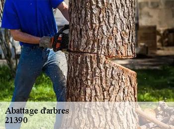 Abattage d'arbres 21390