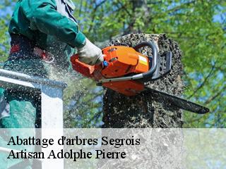 Abattage d'arbres segrois-21220 Artisan Adolphe Pierre
