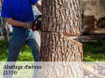 Abattage d'arbres  21550