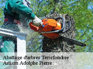 Abattage d'arbres terrefondree-21290 ADEL Moise Élagueur