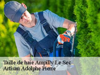 Taille de haie  ampilly-le-sec-21400 Artisan Adolphe Pierre