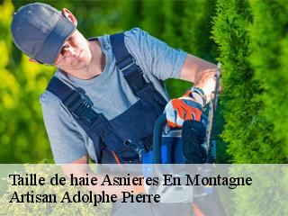 Taille de haie  asnieres-en-montagne-21500 Artisan Adolphe Pierre