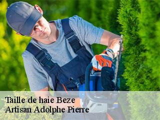 Taille de haie  beze-21310 Artisan Adolphe Pierre