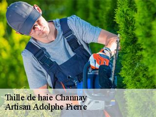 Taille de haie  channay-21330 Artisan Adolphe Pierre
