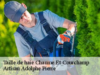 Taille de haie  chaume-et-courchamp-21610 Artisan Adolphe Pierre