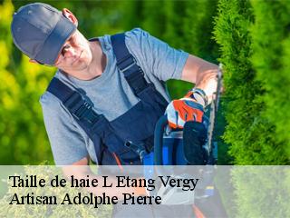 Taille de haie  l-etang-vergy-21220 Artisan Adolphe Pierre