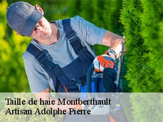 Taille de haie montberthault-21460 Artisan Adolphe Pierre