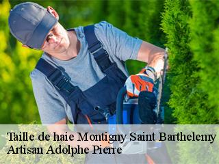 Taille de haie  montigny-saint-barthelemy-21390 Artisan Adolphe Pierre